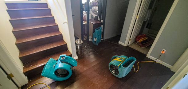 Best Carpet water damage restoration  in Fort Myers Beach, FL