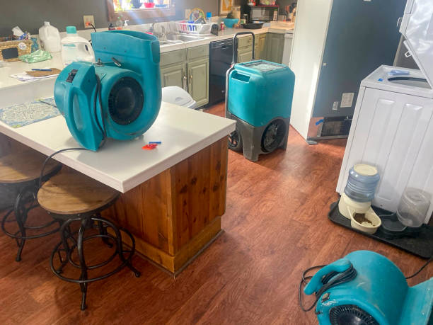  Fort Myers Beach, FL Water damage restoration Pros