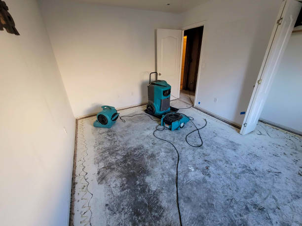 Best Sewage cleanup and water damage restoration  in Fort Myers Beach, FL