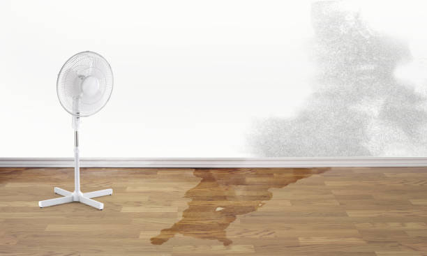 Best Water damage restoration near me  in Fort Myers Beach, FL