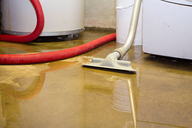 Best Commercial water damage restoration  in Fort Myers Beach, FL