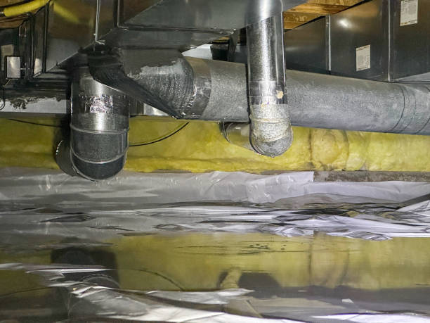 Best Ceiling water damage repair  in Fort Myers Beach, FL