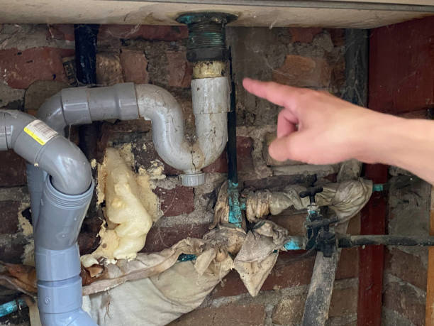 Best Local water damage restoration  in Fort Myers Beach, FL